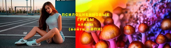 шишки Абаза