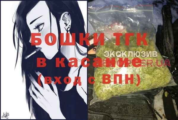 шишки Абаза