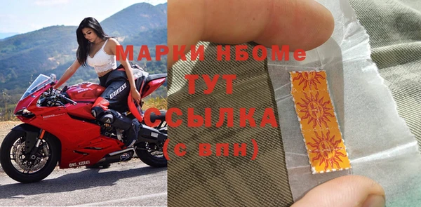 шишки Абаза