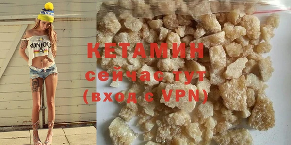 шишки Абаза
