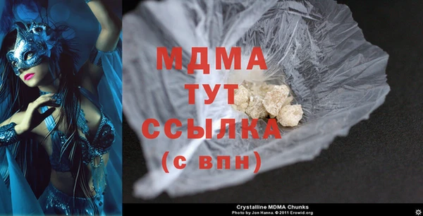 шишки Абаза