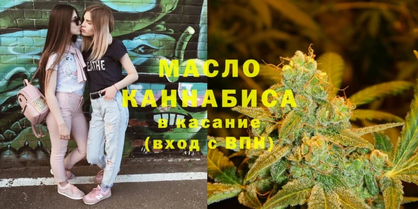 шишки Абаза