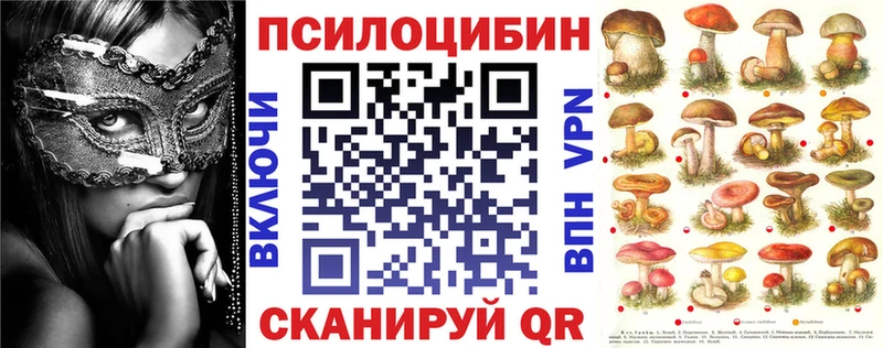 mega   Артём  Псилоцибиновые грибы Psilocybine cubensis 